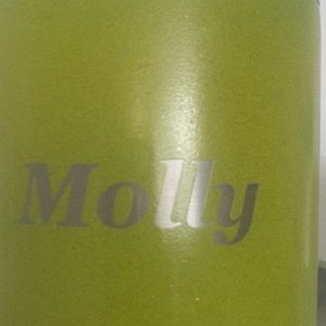 Meet your Posher, Molly
